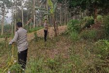 Pagi-Pagi, Sesosok Pria Tewas Tergantung di Pohon Rambutan Pamotan Malang - JPNN.com Jatim