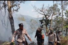 Kebakaran Hutan di Gunung Argopuro Capai 10 Hektare, Pemadaman Terkendala Angin - JPNN.com Jatim