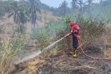 BMKG Lampung Catat 5 Wilayah Rentan Kebakaran Hutan, Masyarakat Diimbau Waspada  - JPNN.com Lampung