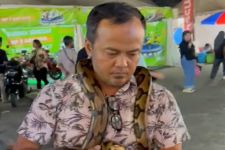 Pameran Ular di Pekan Raya Lampung Diminati Pengunjung - JPNN.com Lampung