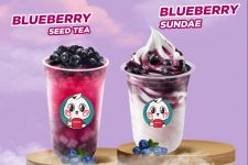 Brand Es Krim Asal China Luncurkan 2 Produk Rasa Blueberry, Yuk Cobain - JPNN.com Jatim