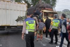 2 Truk dan 1 Motor Terlibat Kecelakaan di Kulon Progo, 3 Korban Masuk RS - JPNN.com Jogja