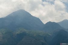 Kondisi Terkini Kebakaran Gunung Merbabu, Akhirnya Bisa Bernapas Lega - JPNN.com Jateng