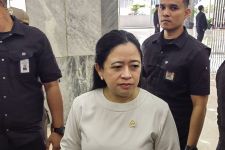 Puan Maharani Bertemu Ganjar Bahas Hasil Makan Siang Bareng Jokowi - JPNN.com Sumut