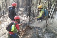 Kebakaran Lereng Gunung Lawu Sudah Padam, Tetapi Penyebabnya Masih Misterius - JPNN.com Jatim