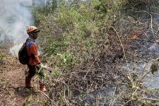 Kebakaran Hutan di Gunung Panderman Padam, Lahan 29 Hektare Hangus - JPNN.com Jatim