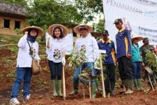 HMPI 2023: Sebanyak 2.021 Pohon Ditanam di Parung Panjang Bogor - JPNN.com Jabar