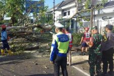 2 Pegendara Motor Asal Bojonegoro Tewas Tertimpa Pohon di Malang - JPNN.com Jatim