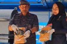 BNN Jateng Ungkap 2 Kasus Narkoba di Brebes & Karanganyar, Pelakunya Tak Disangka - JPNN.com Jateng