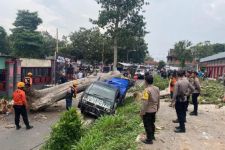 Pikap di Pasar Dimoro Blitar Tertimpa Pohon Tumbang Akibat Angin Kencang - JPNN.com Jatim