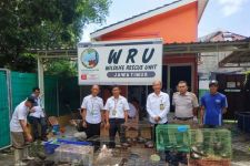 Karantina Jatim Temukan 4 Koper Berisi Ratusan Reptil Langka di Surabaya - JPNN.com Jatim