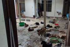 Puluhan Warung Daging Anjing Menjamur di Solo, Pemkot Gagal Edukasi Warga - JPNN.com Jateng
