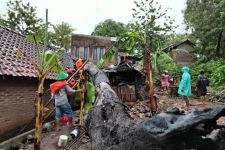 6 Rumah di Bantul Tertimpa Pohon karena Angin Kencang - JPNN.com Jogja