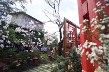 Mengintip Pesona Desa Tematik Baru di Batu, Kampung Sakura - JPNN.com Jatim
