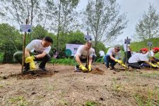 Kurangi Emisi Karbon, 3 Perusahaan Tanam Ribuan Pohon di Mangrove Pasuruan - JPNN.com Jatim