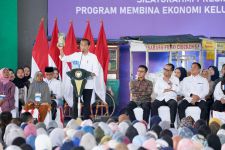 Jokowi Girang 2 Produk Nasabah PNM Tembus Pasar Internasional - JPNN.com Jabar