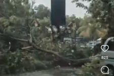 Hujan Es & Angin Kencang di Sidoarjo Sebabkan Pohon Tumbang Hingga Tutup Akses Jalan - JPNN.com Jatim