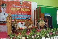 Tren Kasus DBD di Demak Menurun, Gerakan PSN Bupati Buahkan Hasil  - JPNN.com Jateng