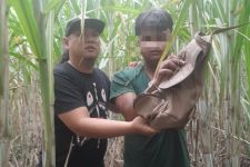 Jadi Jambret Jalanan, Remaja di Mojokerto Tak Segan-Segan Lukai Korban - JPNN.com