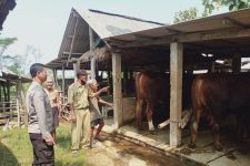 12 Domba Raib di Bantul, Polisi Tingkatkan Kewaspadaan  - JPNN.com Jogja