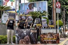 Aktivis AFJ Tuntut Pemerintah Menghentikan Impor Hewan Hidup - JPNN.com Jogja