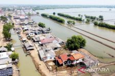 14 Ribu Hektare Lahan Hutan Sosial Muaragembong Bekasi Menanti Sertifikasi - JPNN.com Jabar