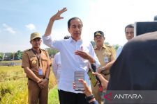 Soal Arahan Sukarelawan di Pilkada Jawa Tengah 2024, Jokowi Tak Banyak Berkomentar - JPNN.com Jateng