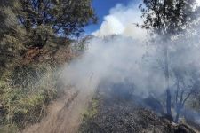 Savana Widodaren di Bromo Alami Kebakaran Hutan dan Lahan, 3 Hari Belum Padam - JPNN.com Jatim