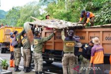 3 Alat Berat dan 40 Truk Sampah Dikerahan Untuk Mengangkut Puing Bekas Lapak PKL Puncak - JPNN.com Jabar
