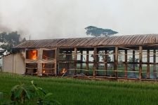 Tabung Gas 12 Kg Meledak, Kandang Ayam di Pekalongan Terbakar, Kerugian Capai Rp 300 Juta - JPNN.com Jateng