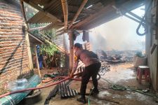 Kandang di Gunungpati Semarang Ludes Terbakar, 23 Ekor Kambing Mati - JPNN.com Jateng