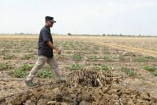 Normalisasi Sodetan Irigasi Jadi Solusi Atasi Kekeringan Sawah di Subang - JPNN.com Jabar