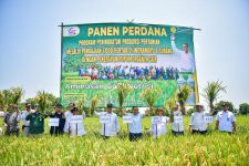 Panen Raya Padi Organik di Indramayu, Produksi Meningkat 50 Persen - JPNN.com Jabar