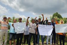 Pakar & Petani Tembakau Protes PP 28/2024, Kretek Terancam Hilang - JPNN.com Jatim