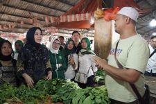 Gerebek Pasar Cianjur, Cawagub Gita KDI Kampanyekan Program UMKM dan Pasar Bahagia - JPNN.com Jabar