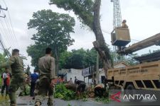 Disperkim Kabupaten Sukabumi Lakukan Pemangkasan Antisipasi Pohon Tumbang Saat Cuaca Ekstrem - JPNN.com Jabar