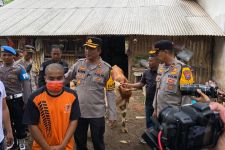 Polisi di Lumajang Tembak Pencuri Sapi Limosin Saat Kabur ke Kebun Tebu - JPNN.com Jatim