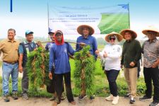 Mendukung Ketahanan Pangan, Jasa Tirta II Mengairi Irigasi 240 Ribu Hektar Sawah - JPNN.com Jabar