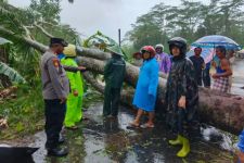 Sejumlah Wilayah di Trenggalek Dilanda Longsor & Pohon Tumbang - JPNN.com Jatim