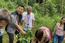 Wujudkan Semarang Hijau, SCU Bersama Djarum Foundation & Padma Run Tanam 150 Pohon - JPNN.com Jateng