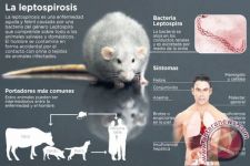 Dinkes Depok Ingatkan Warga Agar Waspada Terhadap Penyakit Leptospirosis di Musim Hujan - JPNN.com Jabar