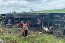 Kecelakaan Bus Murni Jaya di Kulon Progo, Sopir dan Penumpang Masuk Rumah Sakit - JPNN.com Jogja