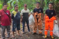 2 Perempuan Tewas Tersengat Tawon Vespa di Kebun Pisang Sidoarjo - JPNN.com Jatim