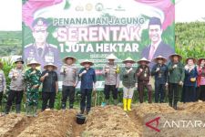 Dukung Program Swasembada Pangan, Forkopimda Sukabumi Tanam Jagung Seluas 70 Hektare - JPNN.com Jabar