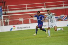 Tumbangkan Arema FC 3-1, Persib Capai Target Bawa Pulang 3 Poin - JPNN.com Jatim