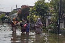 Lima Desa di Kudus Lumpuh Akibat Banjir, Ribuan Warga Terdampak - JPNN.com Jateng