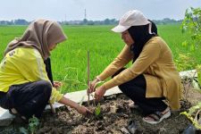 MAPALA Uniss Tanam Harapan, Hijaukan Kendal, Melawan Banjir - JPNN.com Jateng