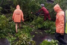 Cuaca Ekstrem: Banjir, Longsor hingga Pohon Tumbang Menerjang Semarang - JPNN.com Jateng