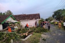 Lumajang Dilanda Pohon Tumbang, Rumah Rusak Hingga Warga Terluka - JPNN.com Jatim