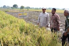 Kelompok Tani di Gresik Keluhkan Irigasi, Mentan Janjikan Mesin Combine & Hand Traktor - JPNN.com Jatim